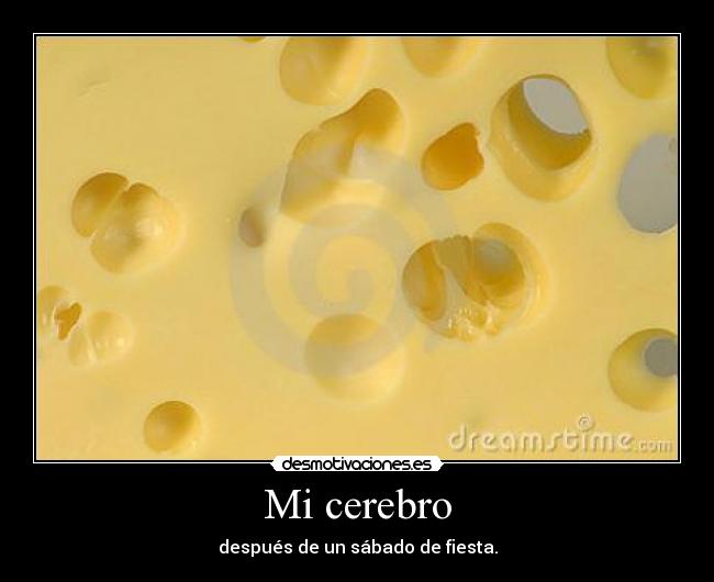 Mi cerebro - después de un sábado de fiesta.