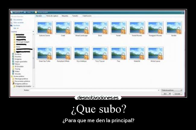 ¿Que subo? -
