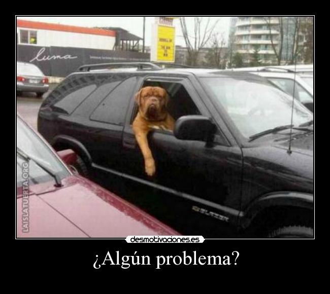 ¿Algún problema? - 