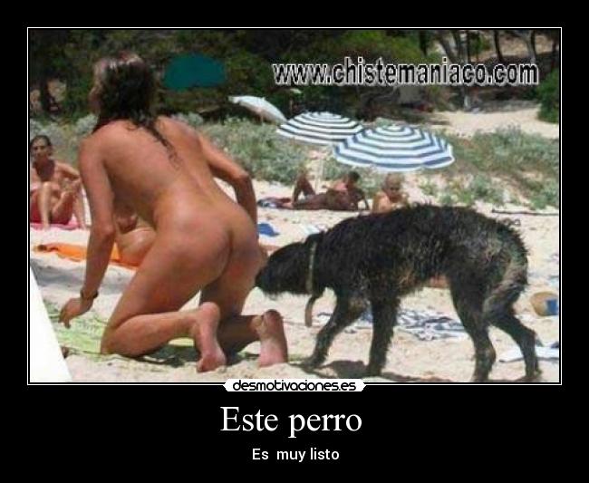 Este perro -