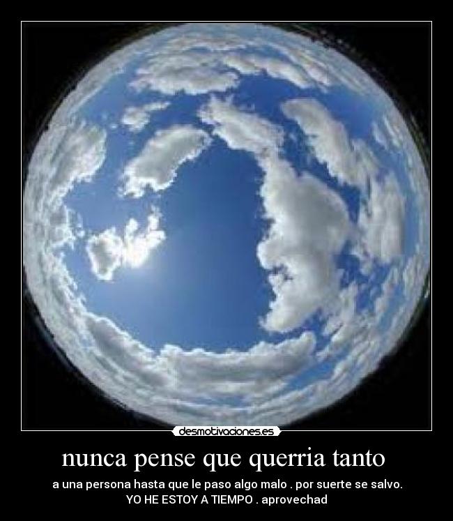 nunca pense que querria tanto -