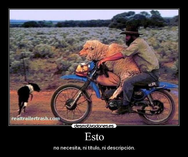 Esto - no necesita, ni título, ni descripción.