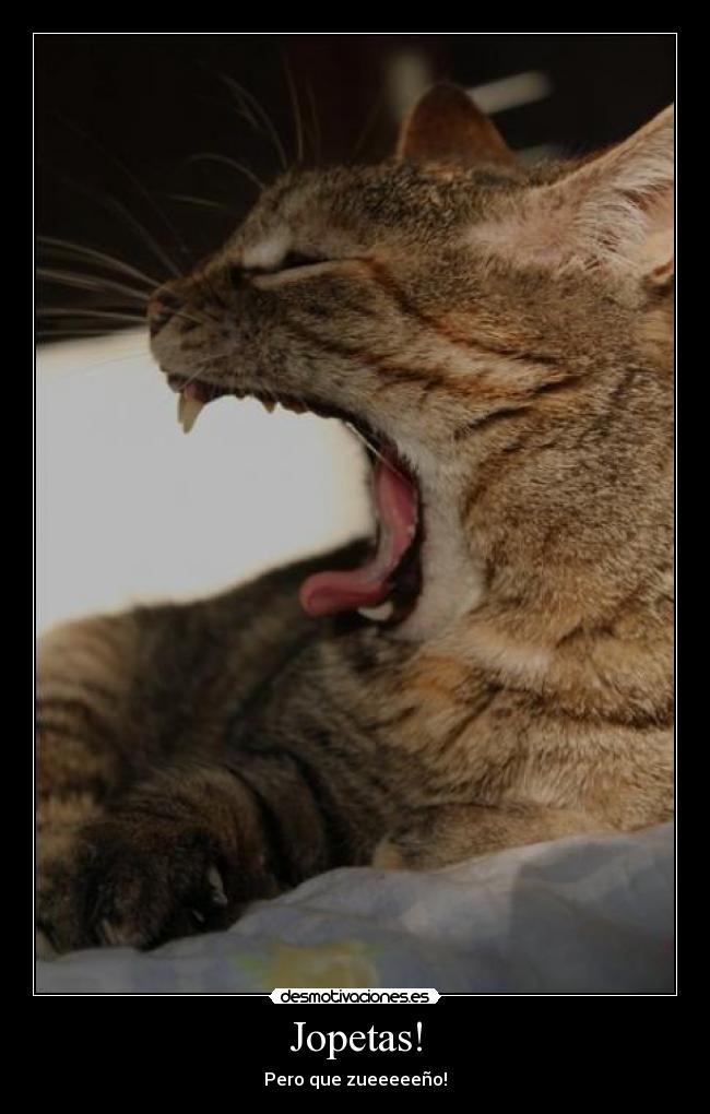 Jopetas! - Pero que zueeeeeño!
