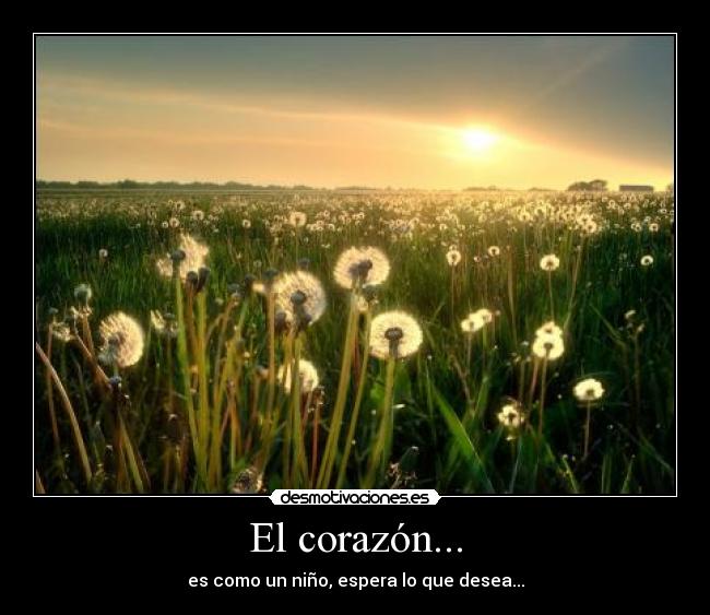 El corazón... - es como un niño, espera lo que desea...