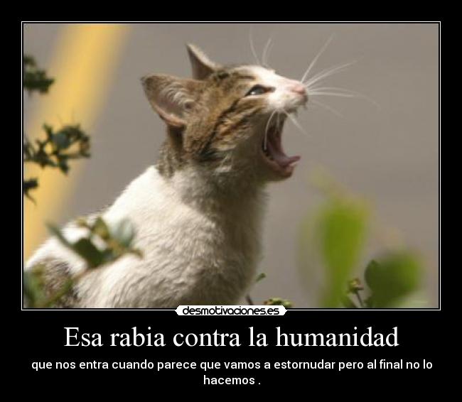 Esa rabia contra la humanidad - que nos entra cuando parece que vamos a estornudar pero al final no lo hacemos .