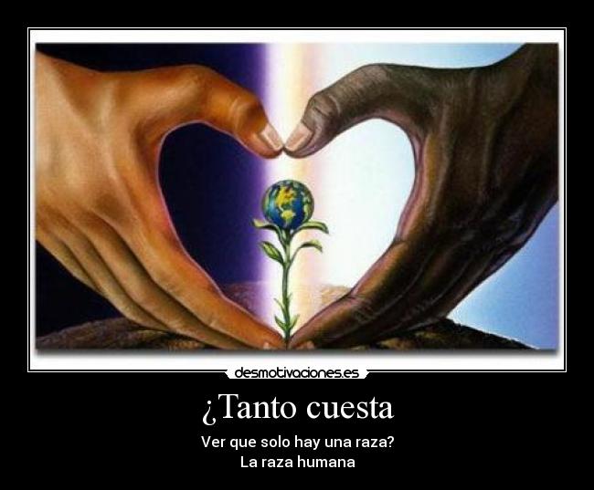 ¿Tanto cuesta - Ver que solo hay una raza?
La raza humana