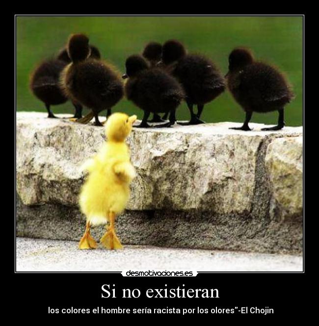 Si no existieran - los colores el hombre sería racista por los olores-El Chojin