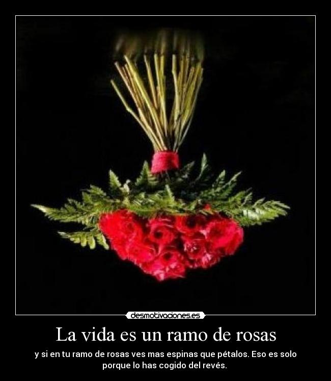 La vida es un ramo de rosas -