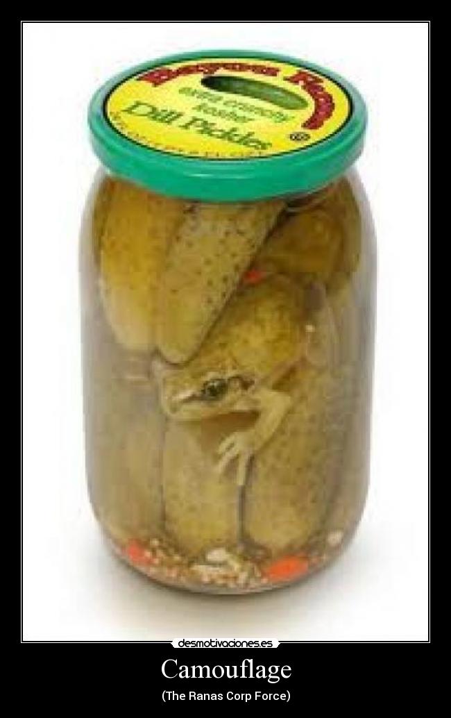 Camouflage - (The Ranas Corp Force)