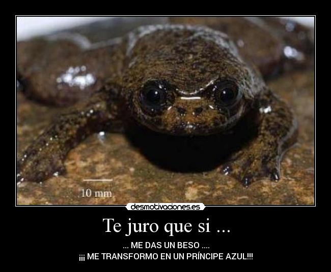 Te juro que si ... - ... ME DAS UN BESO ....
¡¡¡ ME TRANSFORMO EN UN PRÍNCIPE AZUL!!!