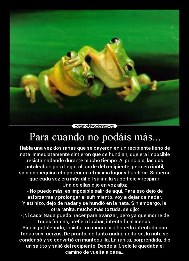 Para cuando no podáis más... - Había una vez dos ranas que se cayeron en un recipiente lleno de
nata. Inmediatamente sintieron que se hundían, que era imposible
resistir nadando durante mucho tiempo. Al principio, las dos
pataleaban para llegar al borde del recipiente, pero era inútil;
solo conseguían chapotear en el mismo lugar y hundirse. Sintieron
que cada vez era más difícil salir a la superficie y respirar.
Una de ellas dijo en voz alta:
- No puedo más, es imposible salir de aquí. Para eso dejo de
esforzarme y prolongar el sufrimiento, voy a dejar de nadar.
Y así hizo, dejó de nadar y se hundió en la nata. Sin embargo, la
otra ranita, mucho más tozuda, se dijo:
- ¡Ni caso! Nada puedo hacer para avanzar, pero ya que moriré de
todas formas, prefiero luchar, intentarlo al menos.
Siguió pataleando, insistía, no moriría sin haberlo intentado con
todas sus fuerzas. De pronto, de tanto nadar, agitarse, la nata se
condensó y se convirtió en mantequilla. La ranita, sorprendida, dio
un saltito y salió del recipiente. Desde allí, solo le quedaba el
camino de vuelta a casa...