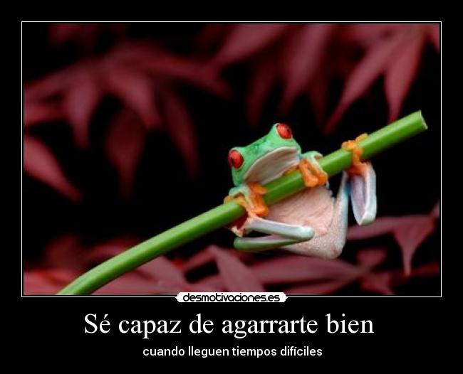 Sé capaz de agarrarte bien - cuando lleguen tiempos difíciles