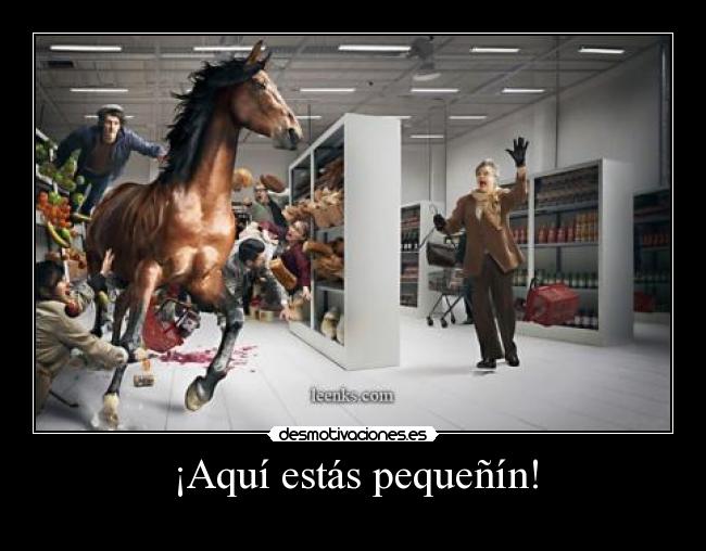 ¡Aquí estás pequeñín! -