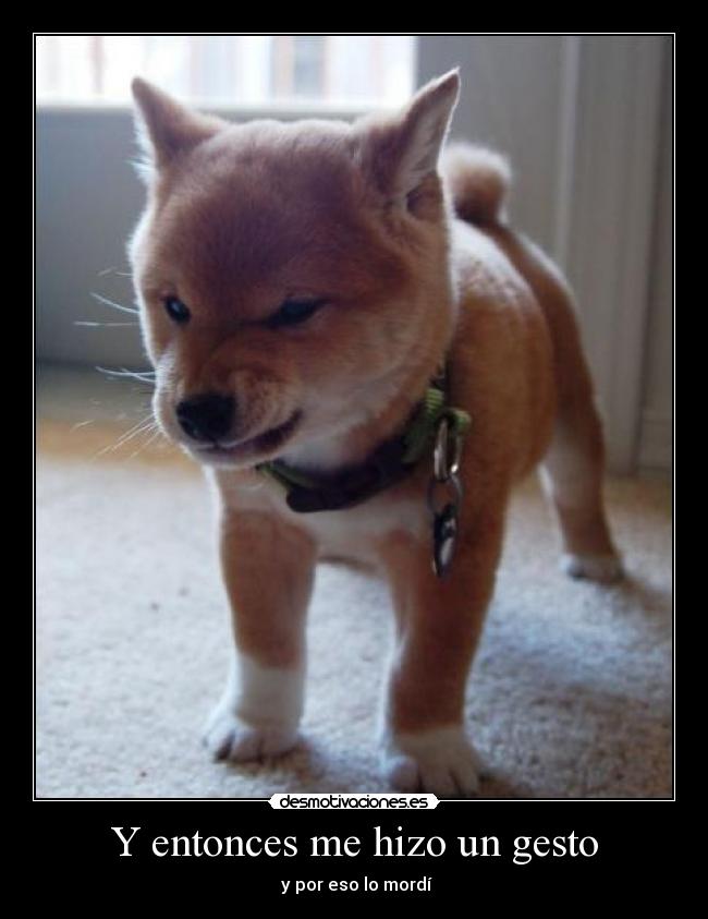 Y entonces me hizo un gesto -