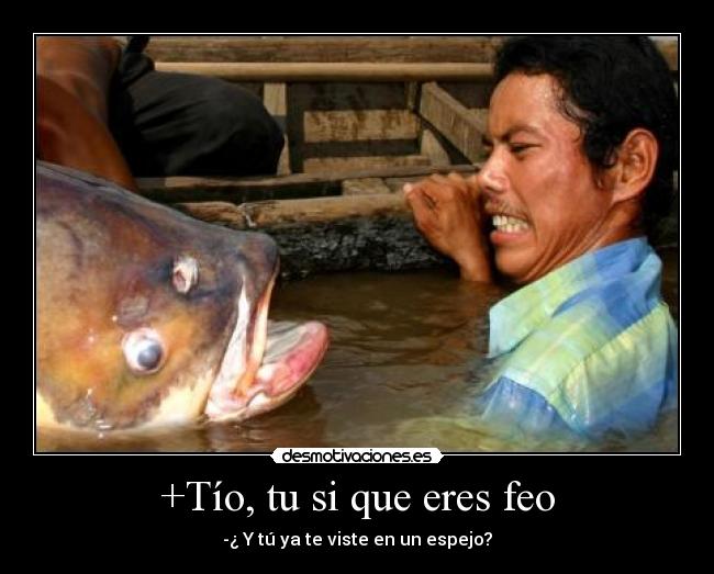 +Tío, tu si que eres feo - -¿ Y tú ya te viste en un espejo?