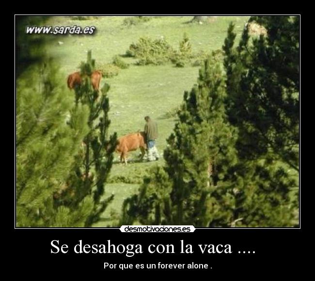 carteles fffffff desmotivaciones