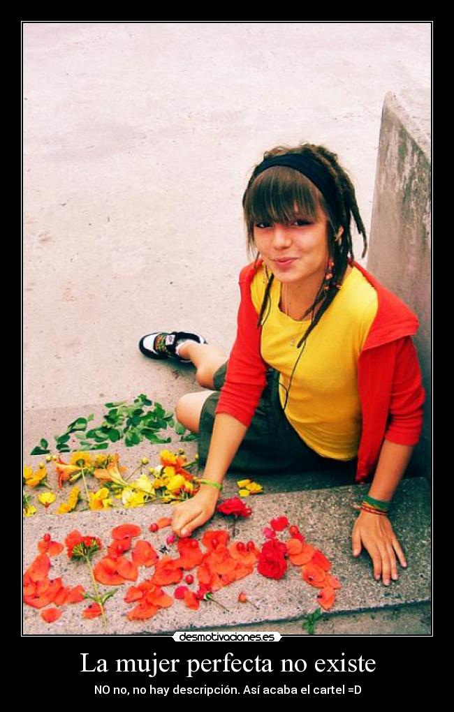 La mujer perfecta no existe - NO no, no hay descripción. Así acaba el cartel =D
