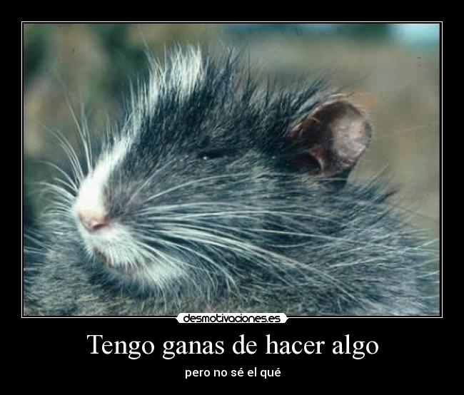 Tengo ganas de hacer algo -