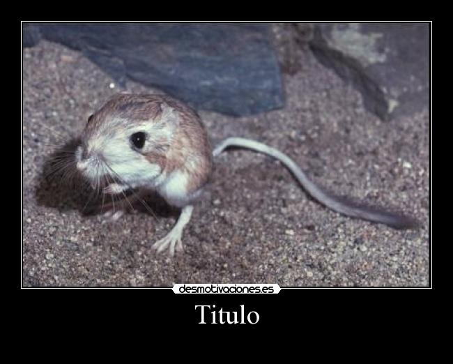 Titulo -