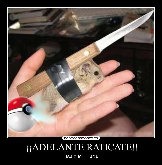 ¡¡ADELANTE RATICATE!! - USA CUCHILLADA