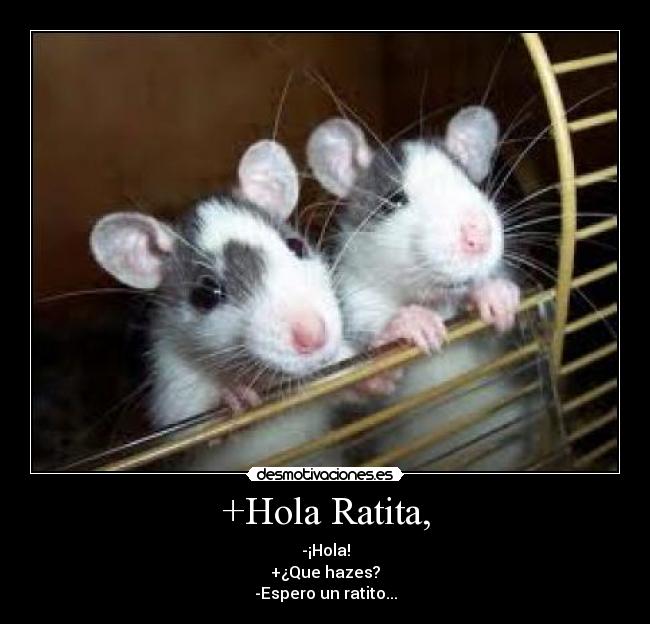 +Hola Ratita, - 