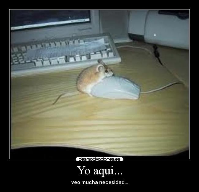 Yo aqui... -