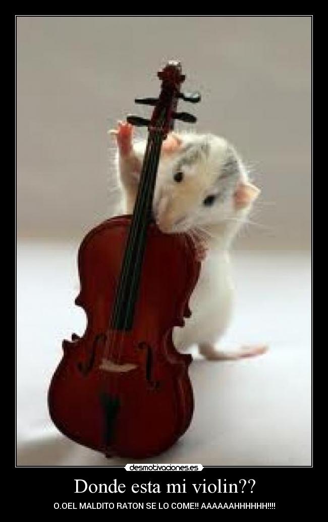 Donde esta mi violin?? - O.OEL MALDITO RATON SE LO COME!! AAAAAAHHHHHH!!!!