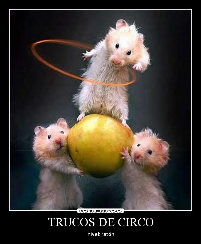 TRUCOS DE CIRCO - nivel: ratón