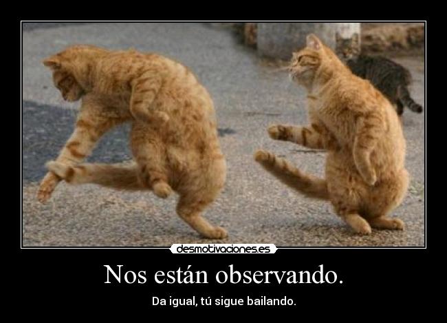 carteles nos estan observando desmotivaciones