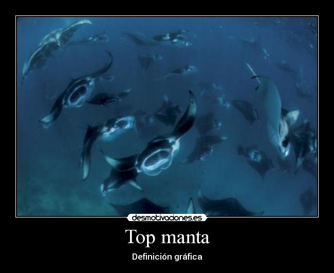 carteles top manta desmotivaciones