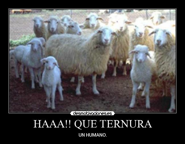 HAAA!! QUE TERNURA -