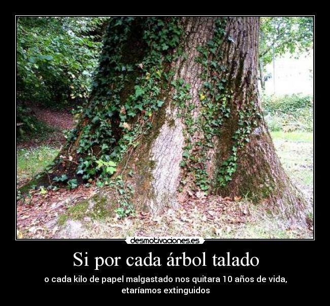 Si por cada árbol talado - o cada kilo de papel malgastado nos quitara 10 años de vida,
etaríamos extinguidos