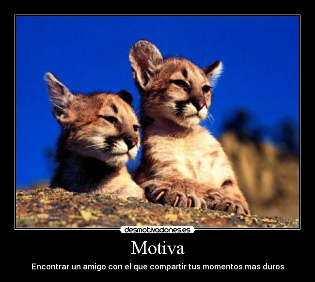 Motiva -