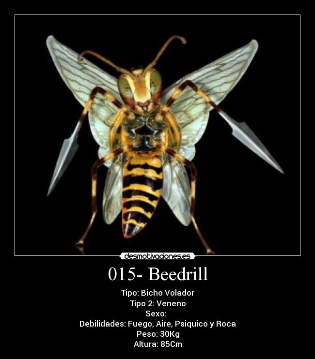 015- Beedrill - 