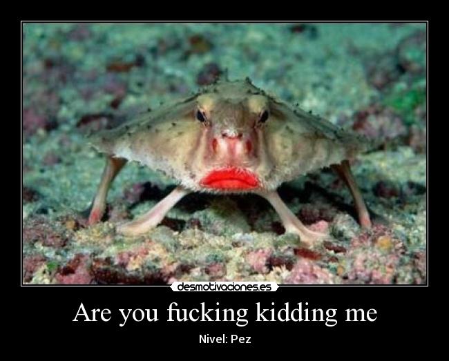 Are you fucking kidding me -