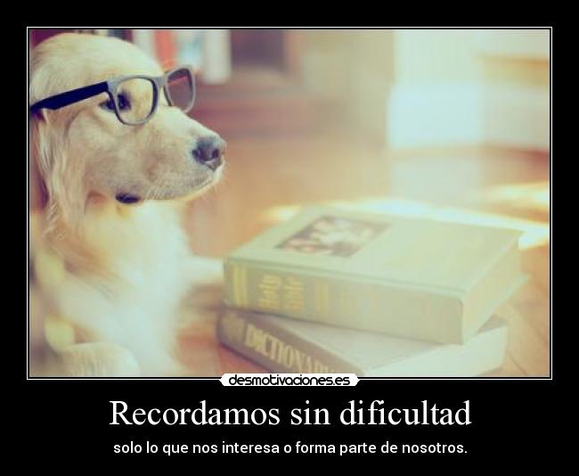 carteles recordar dificultad facil parte nosotros interes mutuo perro lentes libros rubio desmotivaciones