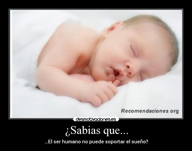 ¿Sabias que... - ...El ser humano no puede soportar el sueño?