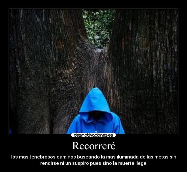 Recorreré - 
