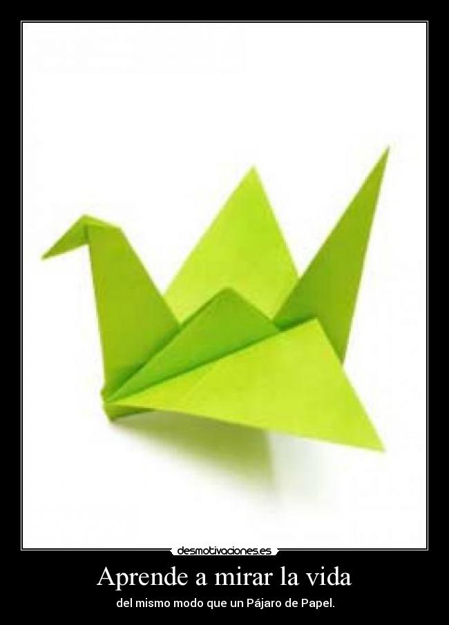 carteles vida pajaro papel vida mirar rga desmo desmotivaciones desmotivaciones