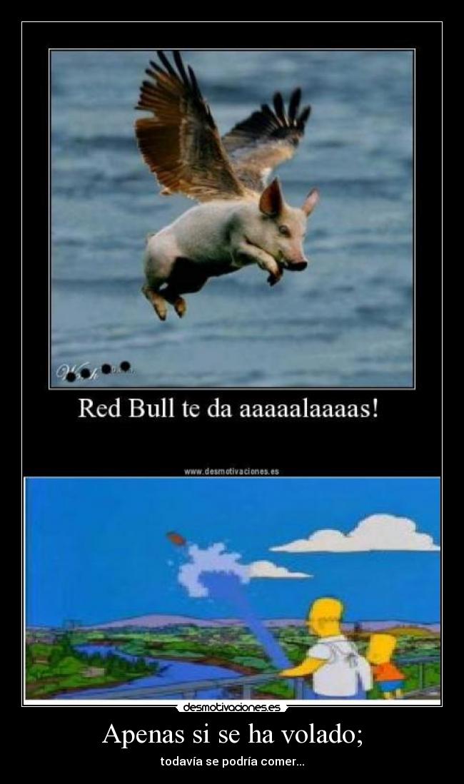 Apenas si se ha volado; - todavía se podría comer...