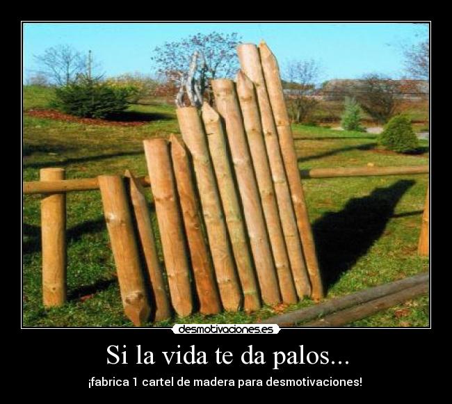 Si la vida te da palos... -