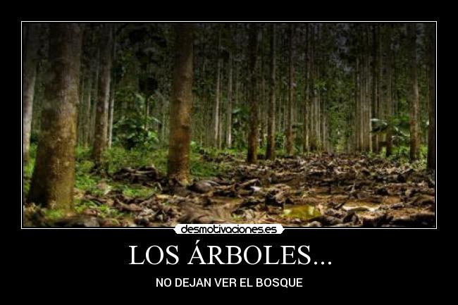 LOS ÁRBOLES... - NO DEJAN VER EL BOSQUE