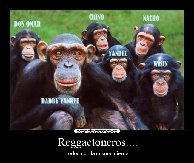 Reggaetoneros.... - 