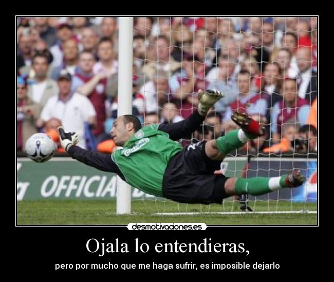 Ojala lo entendieras, - 