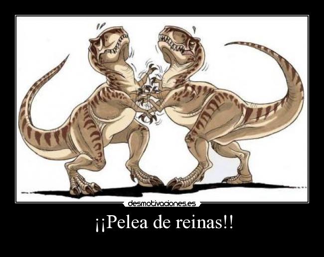 carteles pelea reinas desmotivaciones