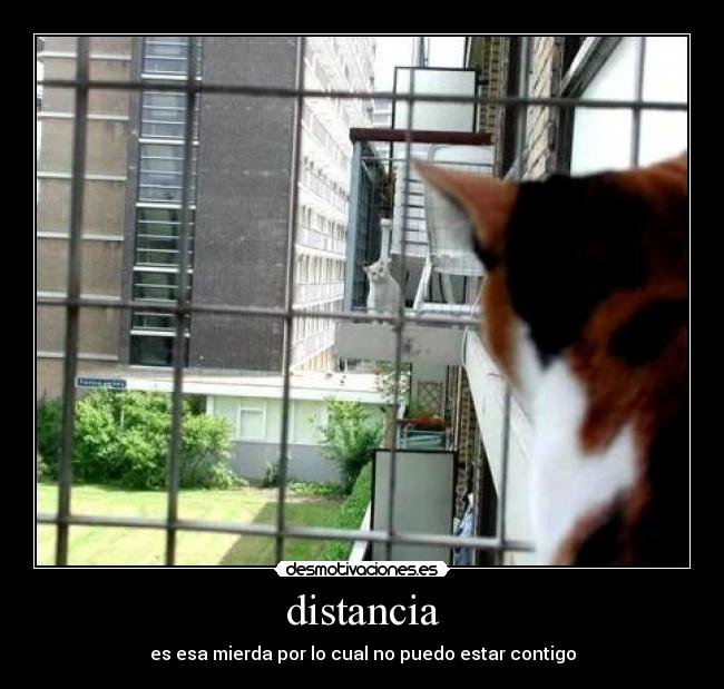 distancia - 
