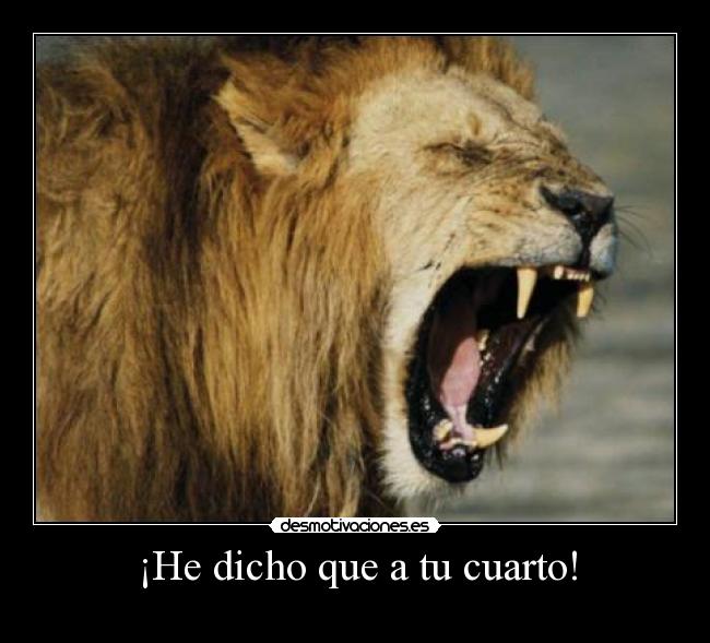 ¡He dicho que a tu cuarto! - 