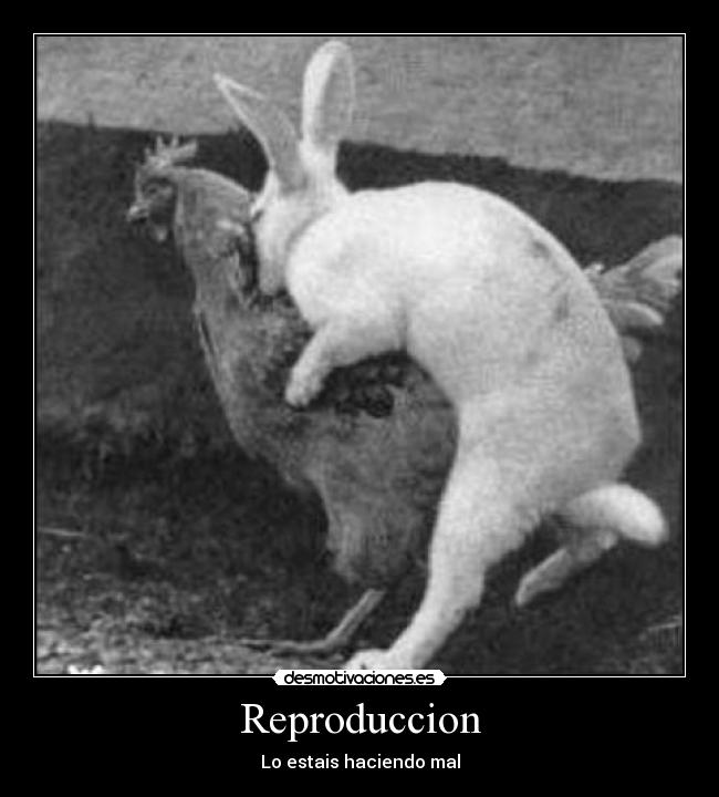 Reproduccion - Lo estais haciendo mal