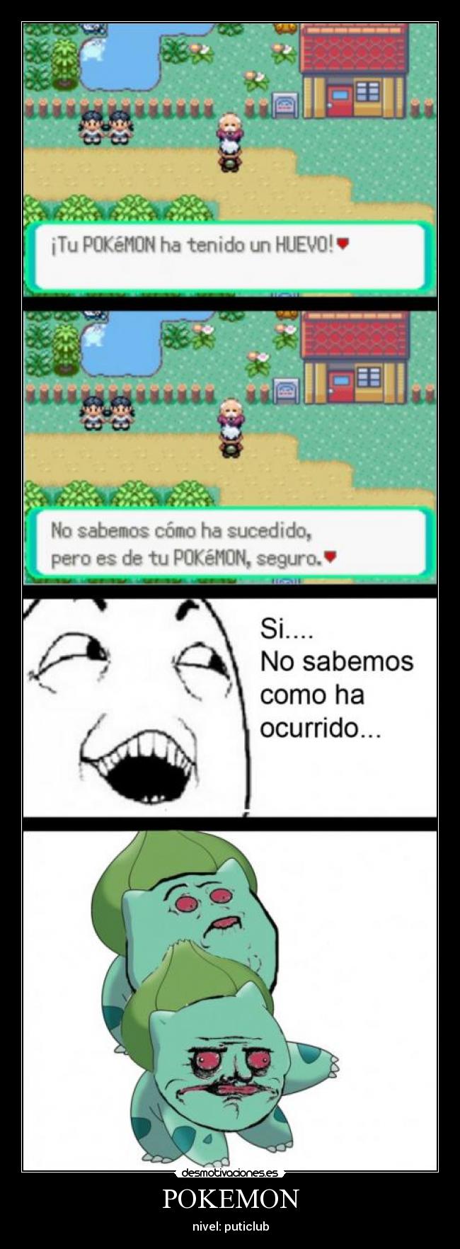POKEMON - 