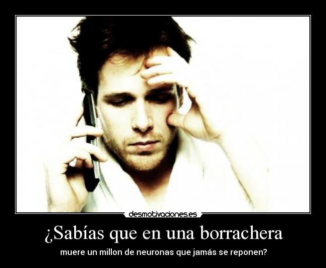 ¿Sabías que en una borrachera -